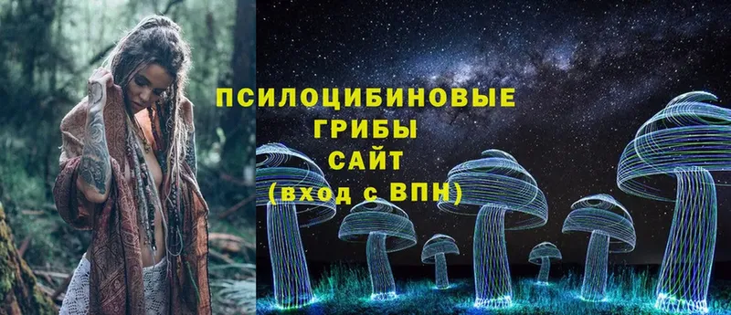 MEGA ССЫЛКА  Биробиджан  Галлюциногенные грибы Psilocybe 